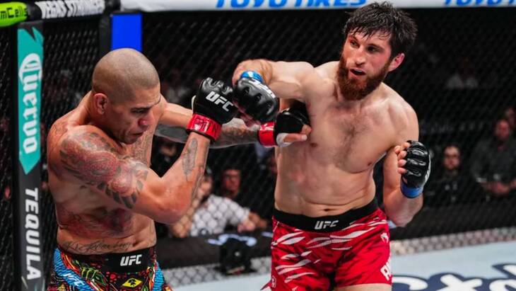 Алекс Перейра и Магомед Анкалаев