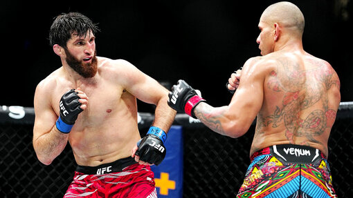 Магомед Анкалаев и Алекс Перейра