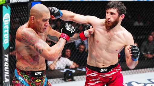 Алекс Перейра против Магомеда Анкалаева