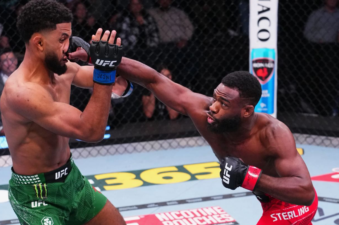 Юссеф Залал против Алджамейна Стерлинга