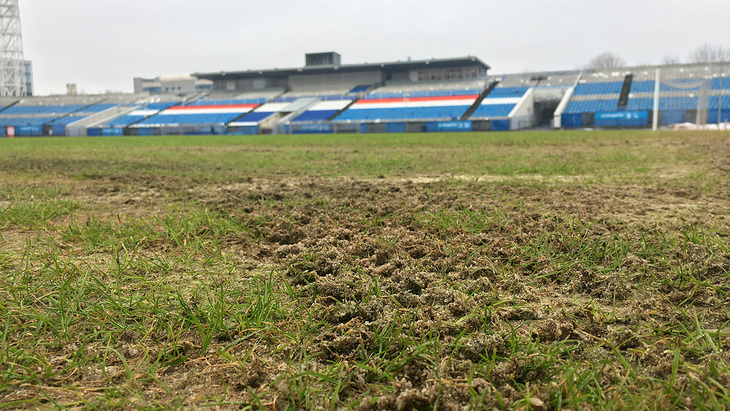 Газон стадиона в Ярославле