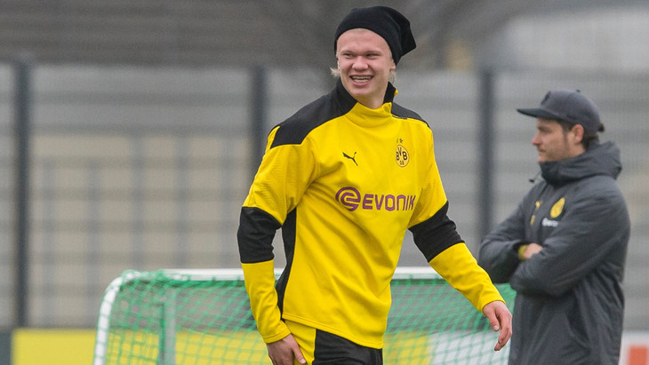 Элинг Холанд