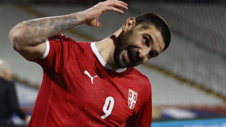 Александр Митрович