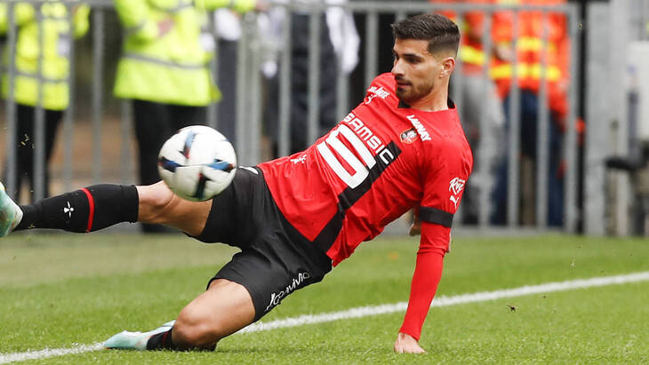 Мартен Террье