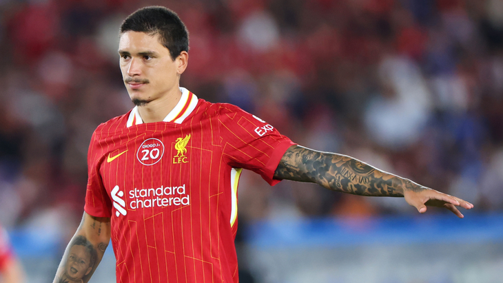 Дарвин Нуньес — нападающий «Ливерпуль»