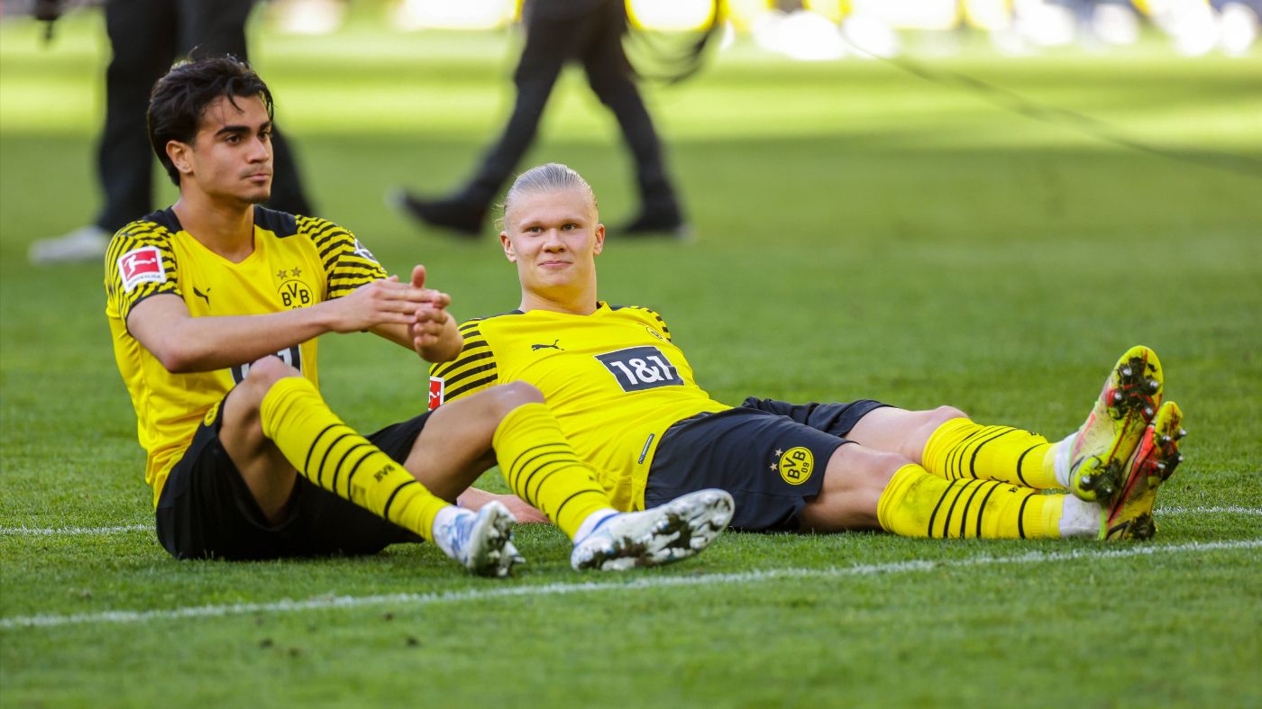 Рейниер и Эрлинг Холанн