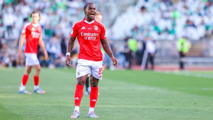 Ренату Саншеш