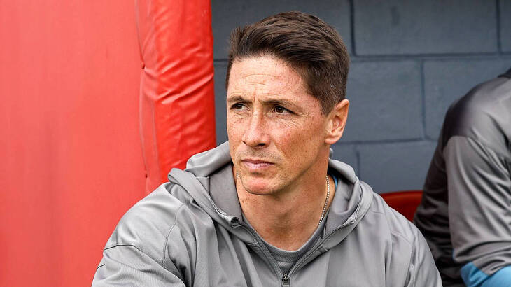 Фернандо Торрес