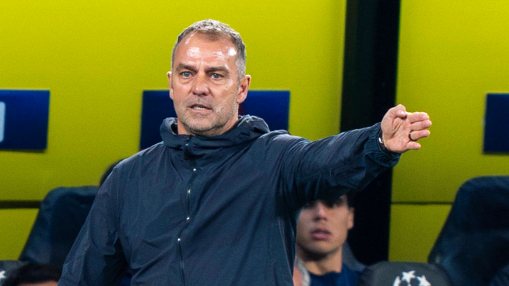 Ханс-Дитер Флик