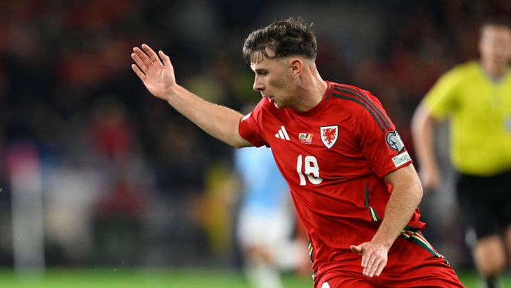 Сборная Уэльса