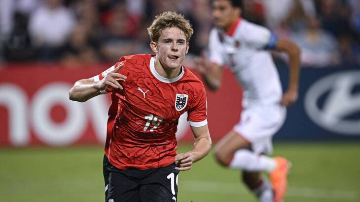 Йоханнес Мозер (Австрия)