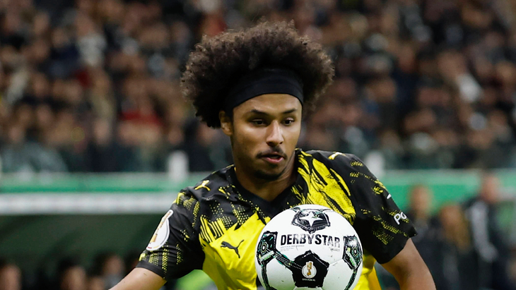 Карим Адейеми — игрок «Боруссии» Д