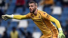 Давид де Хеа («Фиорентина»)