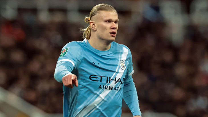 Эрлинг Холанн