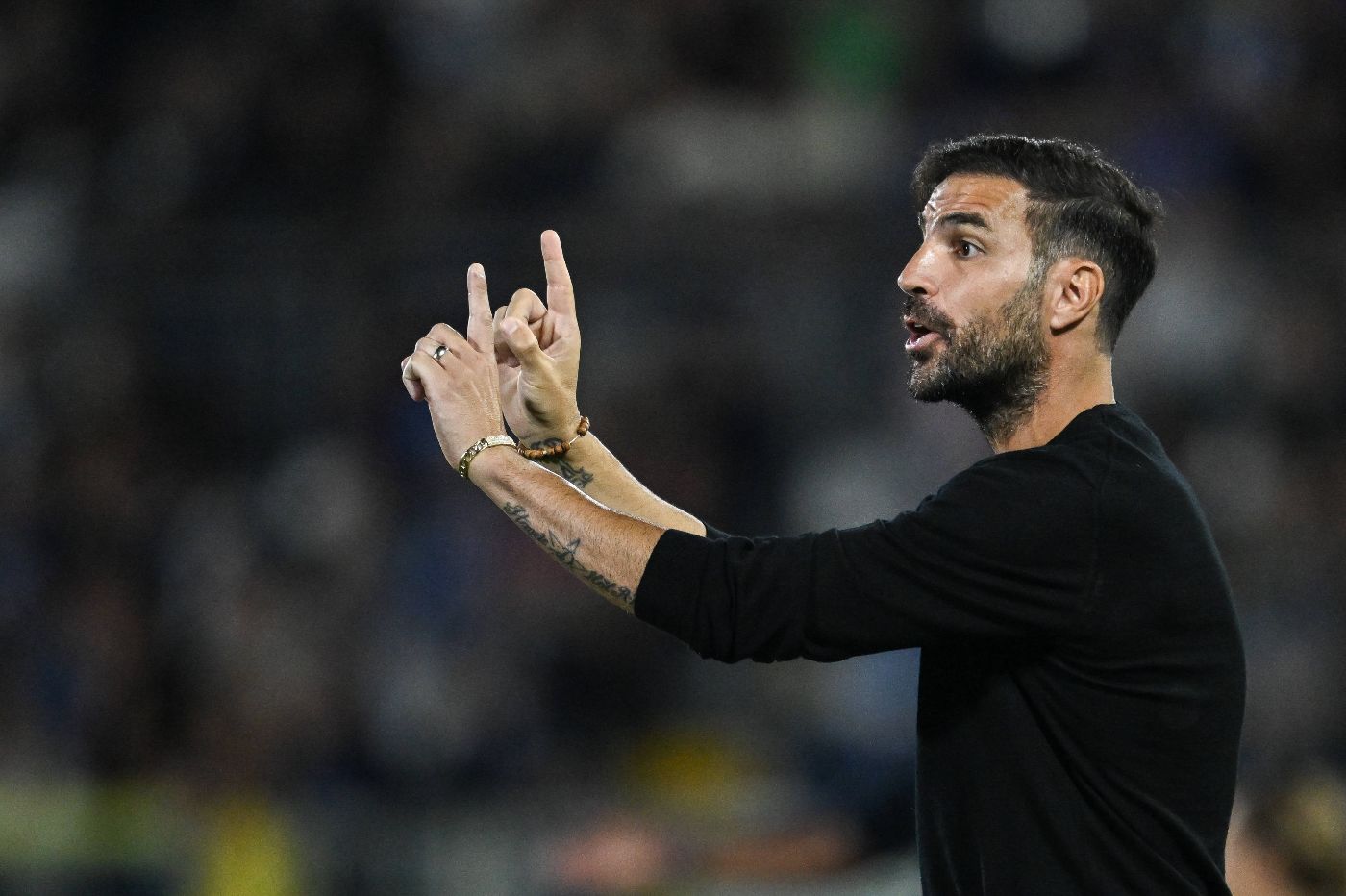 Сеск Фабрегас