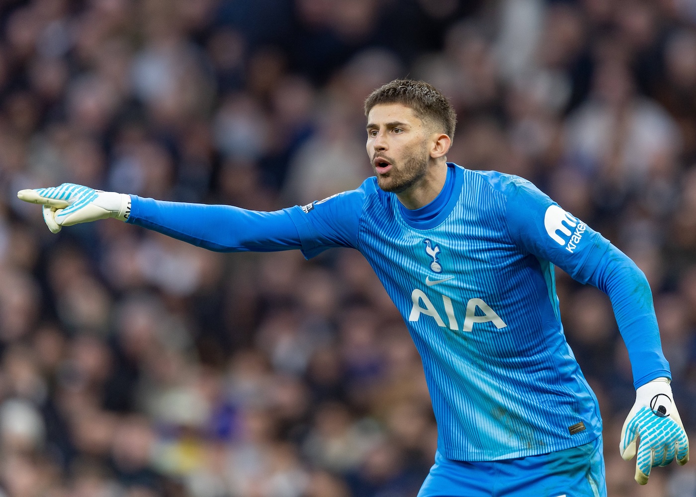 Гильельмо Викарио