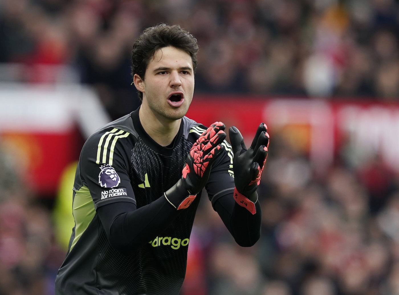 Сенне Ламменс