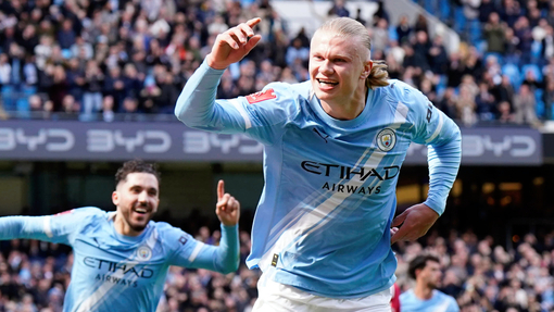 Эрлинг Холанн 