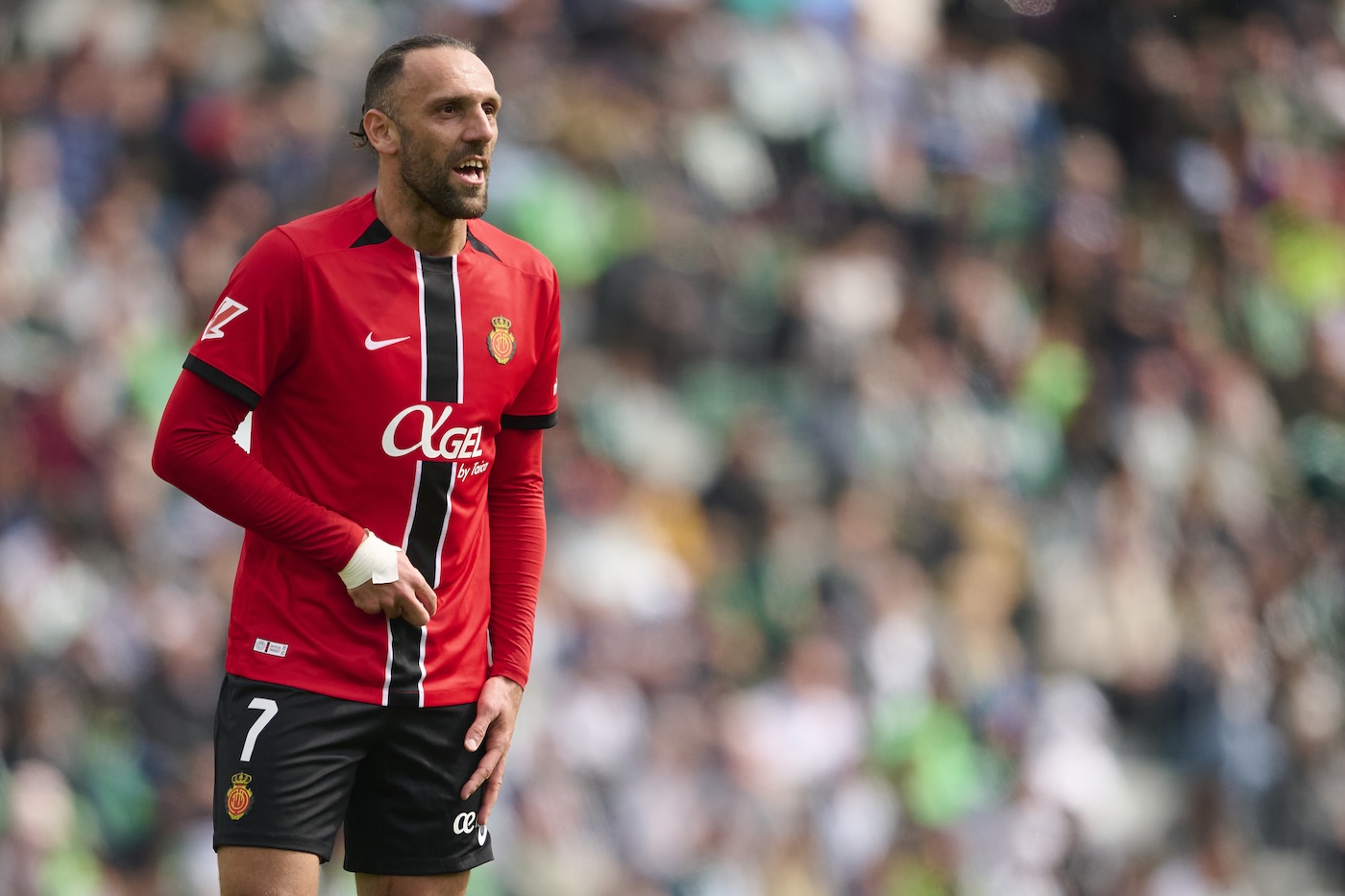 Ведат Мурики