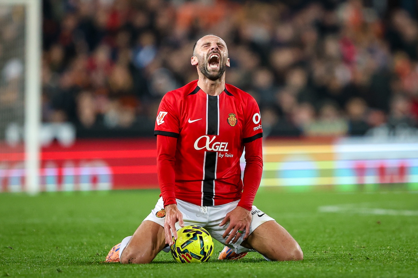 Ведат Мурики