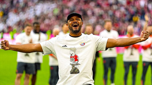 Венсан Компани