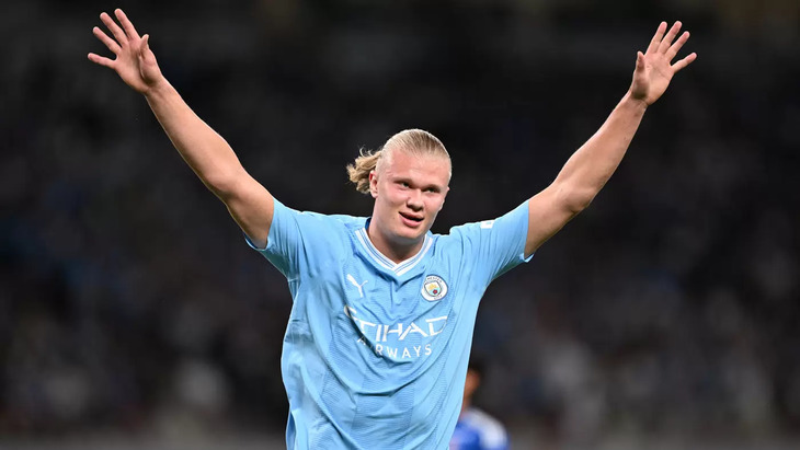 Эрлинг Холанн