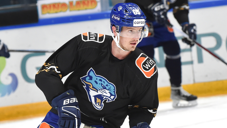 Рудольф Червены