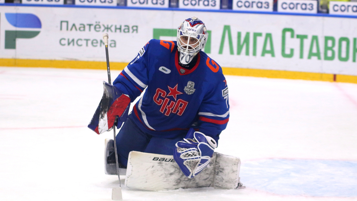 Дмитрий Николаев