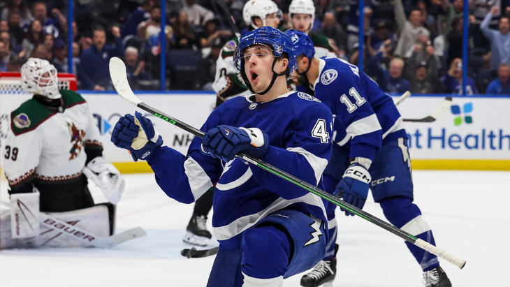 «Тампа» забросила шесть шайб в ворота «Аризоны»