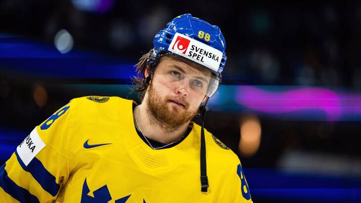 Вильям Нюландер