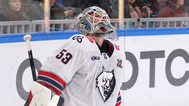 Филипп Долганов — голкипер «Нефтехимика»