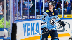 Антон Косолапов