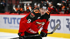 Николай Прохоркин