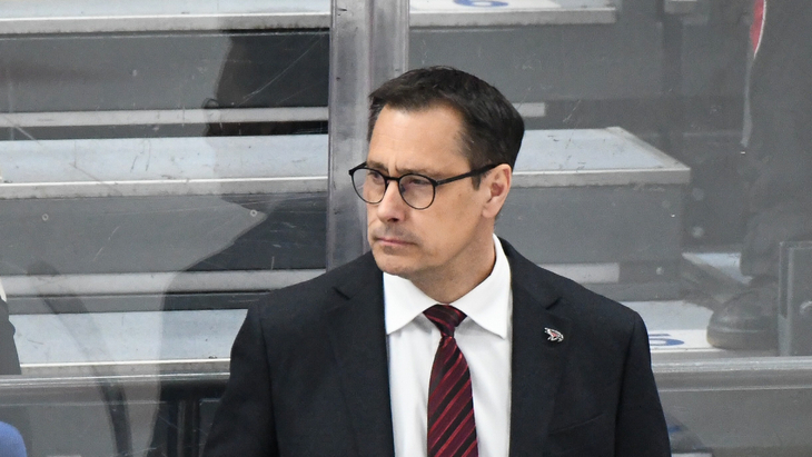 Ги Буше — главный тренер «Авангарда»