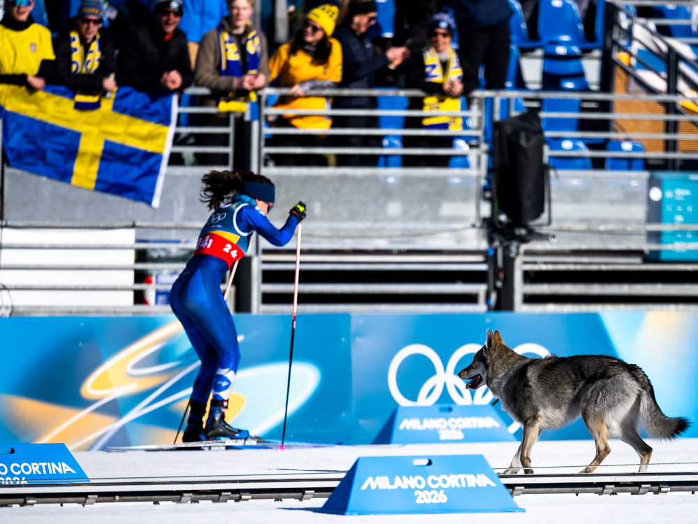 Назгул ждёт остальных участников на финише