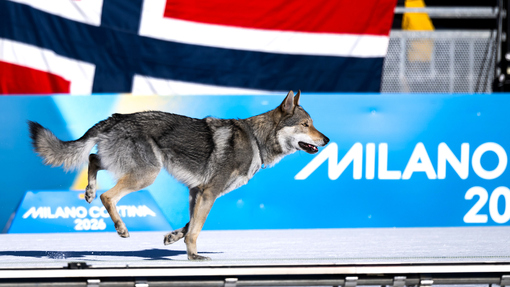 Назгул финиширует в женской эстафете