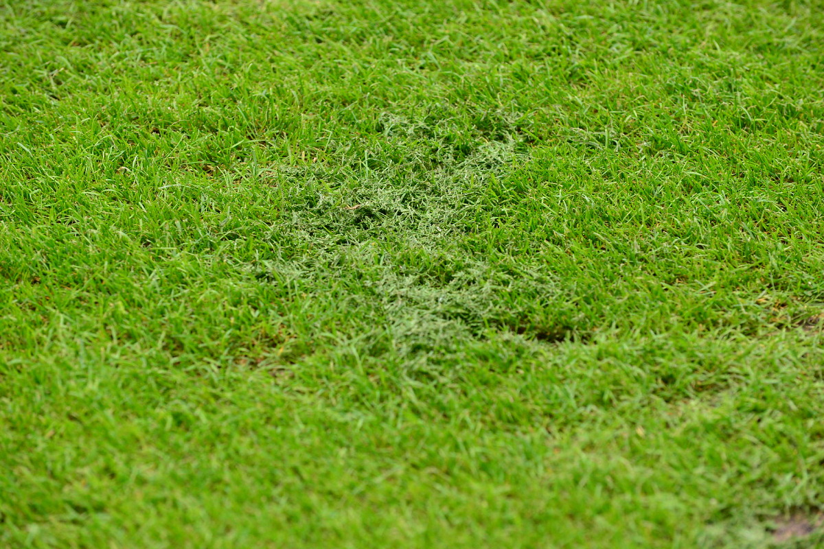 Локомотив — Зенит 0:1