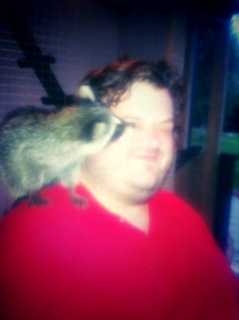 Енот и Уткин