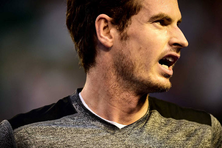 Энди Мюррей