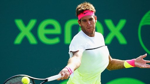 Хуан Мартин Дель Потро