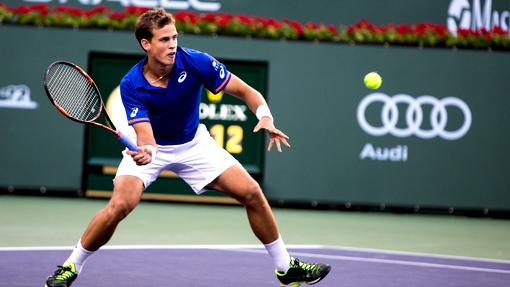 Вашек Поспишил