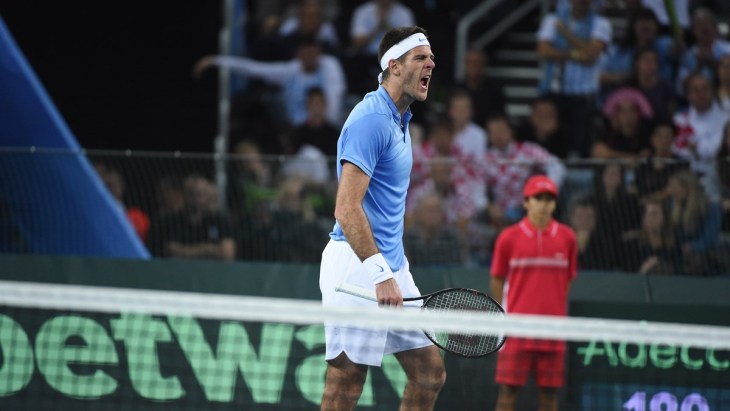 Хуан Мартин Дель Потро