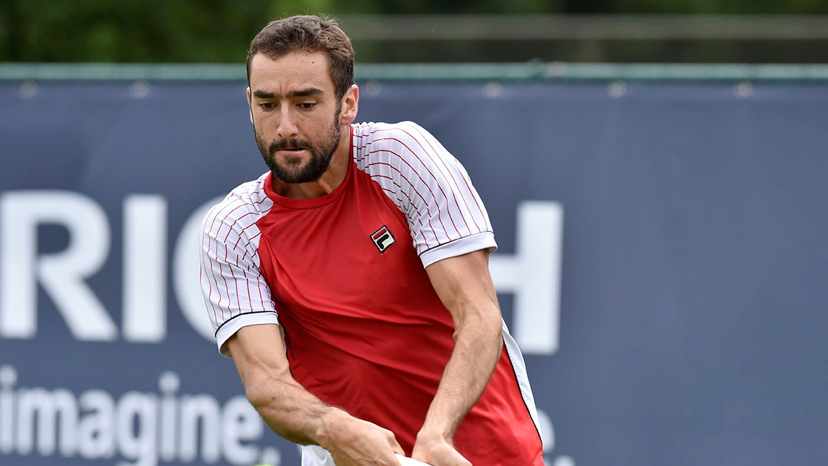 Марин Чилич