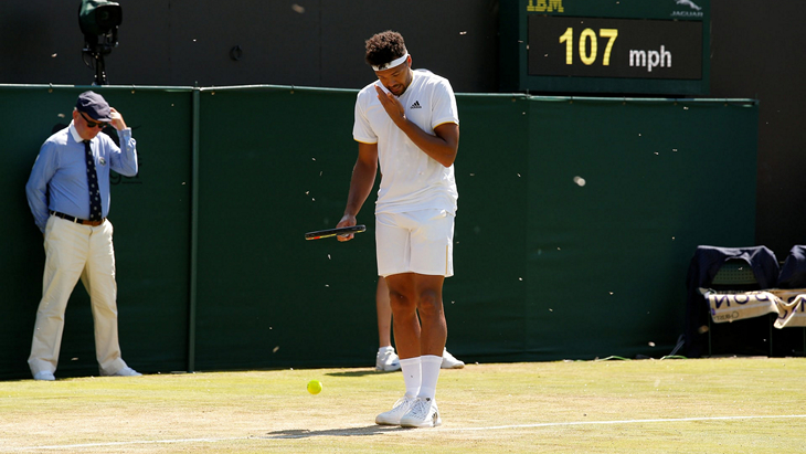 Жо-Вильфрид Тсонга в окружении насекомых