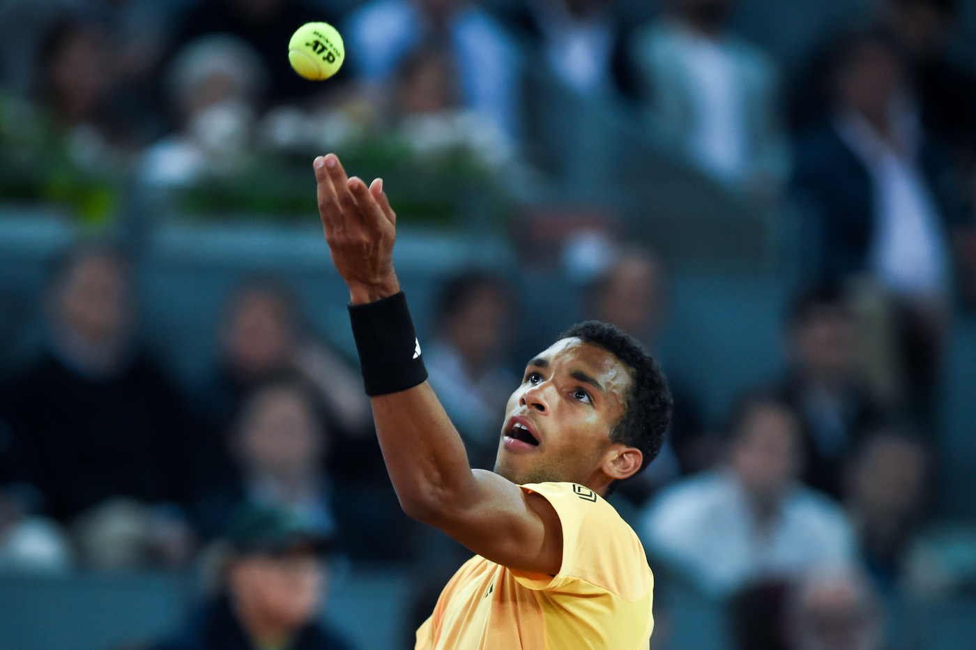 Феликс Оже-Альяссим