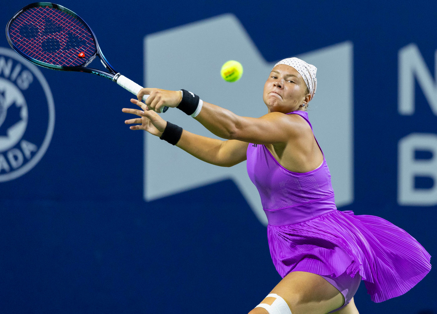 Диана Шнайдер