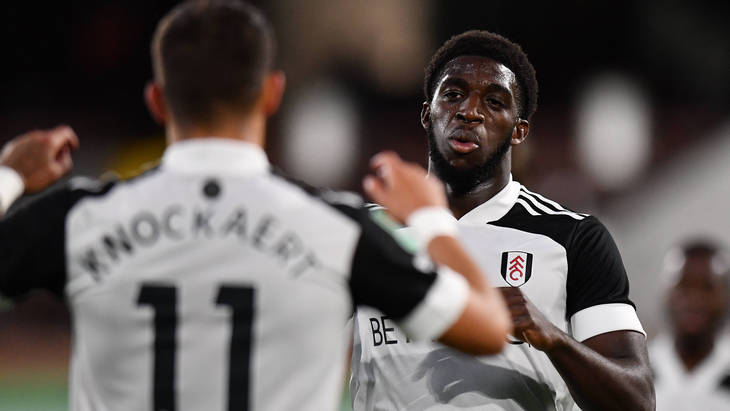 Футболисты «Фулхэма»