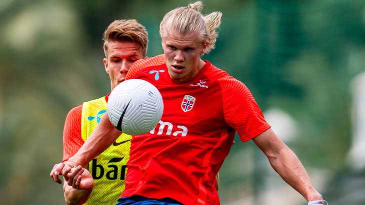 Эрлинг Холанн