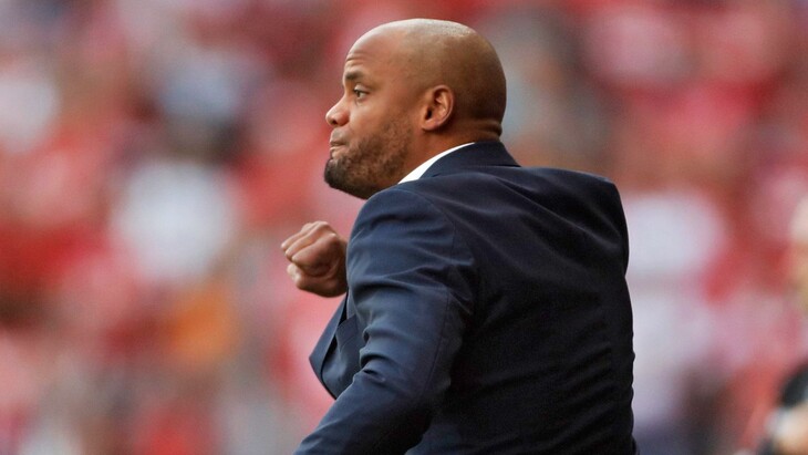 Венсан Компани