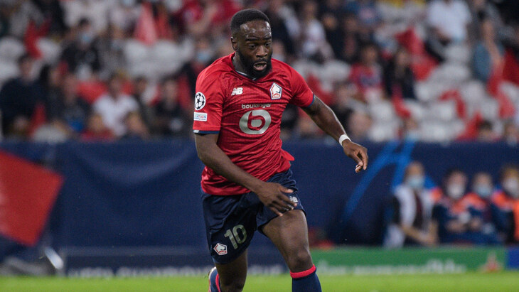 Нанитамо Иконе